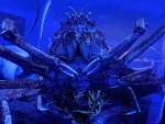 Crabby